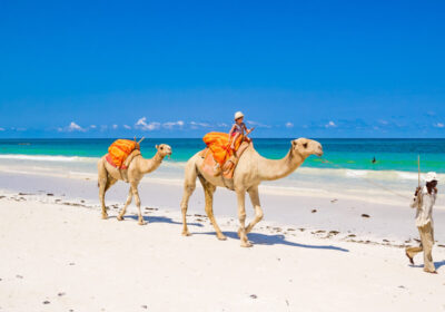 5 Days in the Kenyan Coast: Tradition Meets Futuristic Vibes