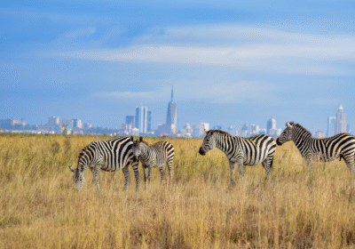 3 Days in Nairobi: Food, Gardens & Futurism